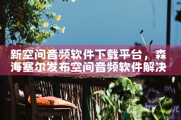 新空间音频软件下载平台