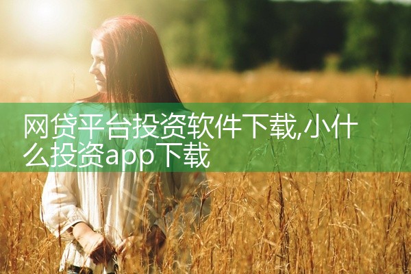 网贷平台投资软件下载