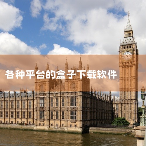 2. 音乐类盒子软件：像酷狗音乐、QQ 音乐、网易云音乐等主流音乐平台的盒子版本，除了能播放正版音乐外，还可能有一些特色功能。例如可以免费下载高品质音乐，或者拥有独特的音效调节功能，让用户能更好地享受|