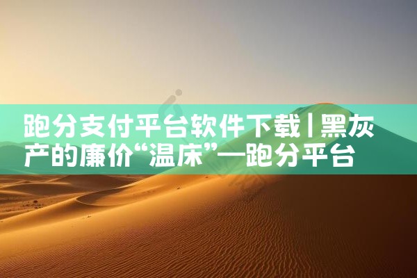 跑分支付平台软件下载