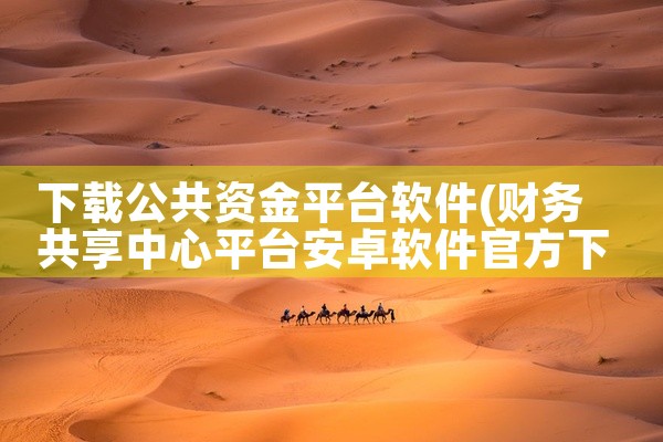 下载公共资金平台软件